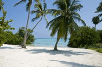 Fly to Dominican Republic to experience luxury at Tortuga Bay