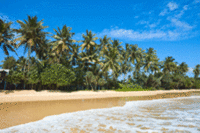 Sri Lankan Tourism Office Looks to Attract Thousands