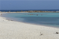 Aruba Proves Popular Among British Tourists