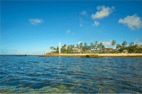 South America Could Provide 2011 Holiday Hotspot