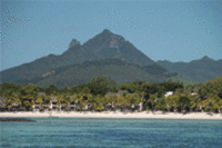 Two Islands Destined for British Popularity