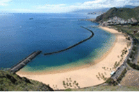 Explore Tenerife's Winter Carnival