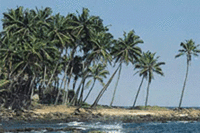 Sri Lanka Tipped for 2011 Tourism Success