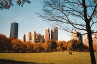 New York's Central Park Holds Multitude of Attractions