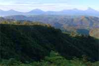 Uganda Set to Enjoy 2011 Tourism