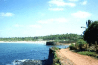 Goa A Desirable 2011 Hotspot