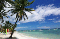 Bohol Provides Romantic and Luxurious Getaway
