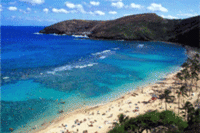 Beach Boutique Accommodation Available in Hawaii