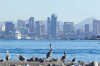 San Diego Highlighted as Summer Hotspot