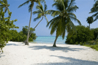 St. Kitts Top Holiday Destination for 2011