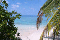 Destination Hotspots in Danger of Disappearing Revealed