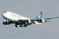 New Zealand Air Flights Praised for Cuddle Class
