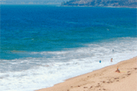 Travel Industry Reveals Best Beaches