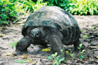 Top Locations for Varied Wildlife