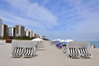 Miami's Continental Hotel Taken Over by New Brand