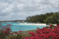 Top Attractions for Travellers Enjoying Barbados