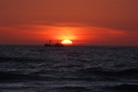 The sun