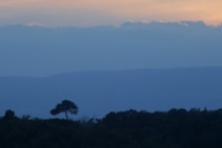 Tuscany and Sardinia Ideal Summer Hotspots