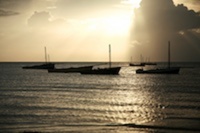 Mozambique Island Comes Top of the Holiday List Poll