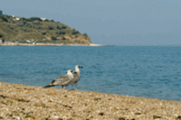Top Hotspots for Bird Lovers