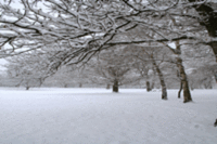 Long Haul Destinations Popular for Winter Season