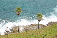 Caribbean Destinations Ideal for Winter