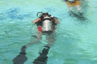 Tourists Scuba diving