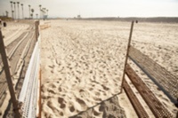 Venice beach
