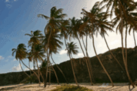 Barbadian Luxury the Ideal Spring Break