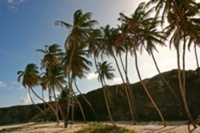 Caribbean ideal for sailing holidays