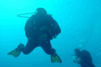Pair Scuba diving