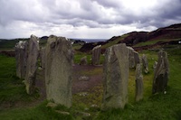 Cork