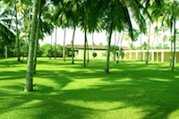 Colombo