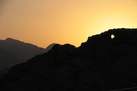 Muscat