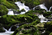 Podgorica