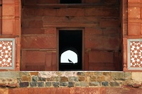 Delhi