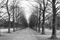 Hanover