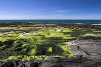 Isle Of Man