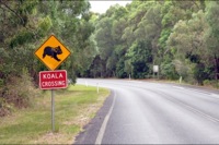 PQQ, Port Macquarie
