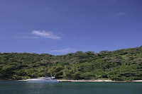 RIO, Rio De Janeiro