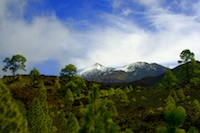 TCI, Tenerife
