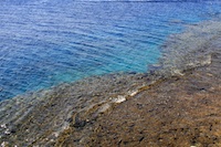 TCP, Taba