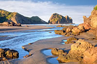 Auckland Travel Guide