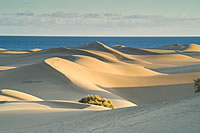 Gran Canaria