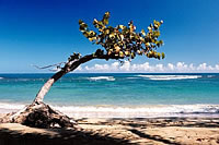 Puerto Plata Travel Guide