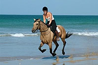 Horse riding holidays
