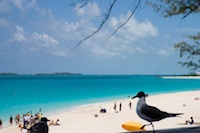 Bahamas