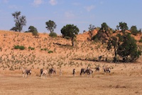 Botswana