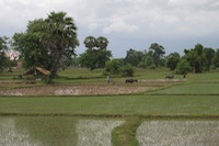 Laos