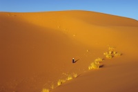 Mauritania